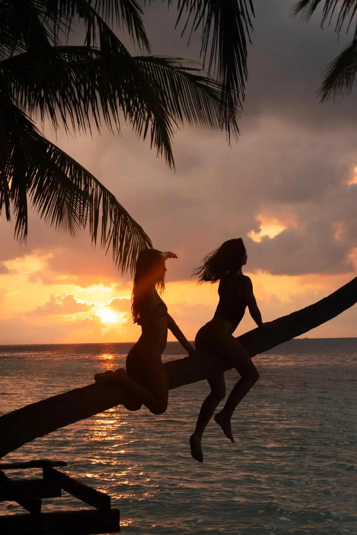 Two silhouettes on a palm above the ocean at sunset